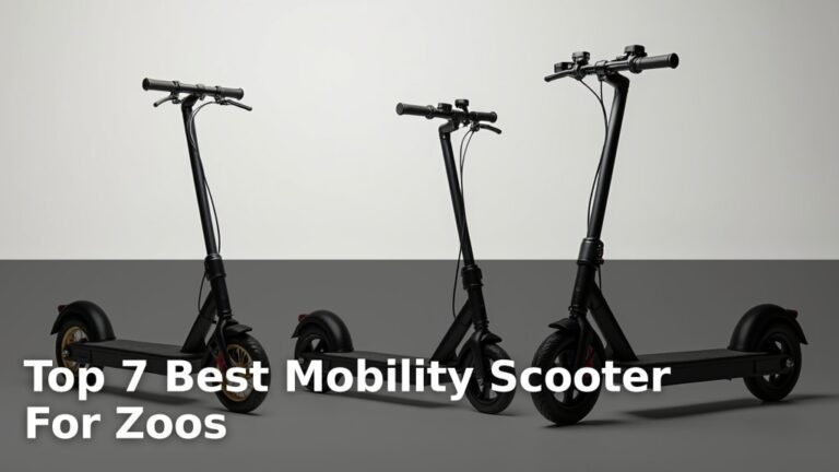 Top 7 Best Mobility Scooter For Zoos
